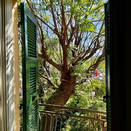 酒店 布利瓦吉酒店