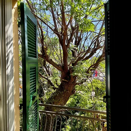 Beau Rivage מלון 3*